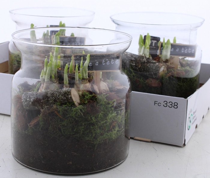 <h4>ARR N TETE A TETE</h4>