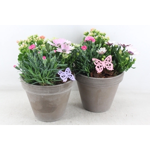 arr4 Outdoor MB - Ker. bloempot choco