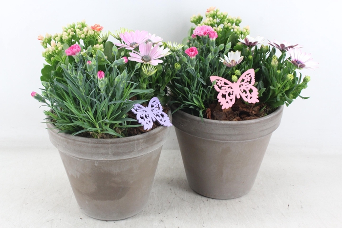 <h4>arr4 Outdoor MB - Ker. bloempot choco</h4>