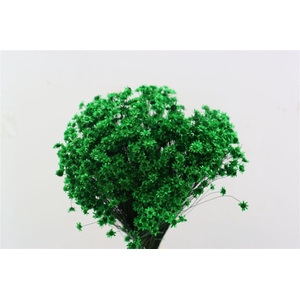 Dried Glixia Dark Green Bunch