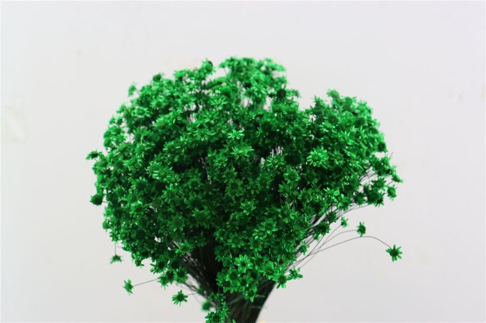 <h4>Dried Glixia Dark Green Bunch</h4>