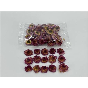 DRIED DAHLIA HEADS LILAC BAG (50-60