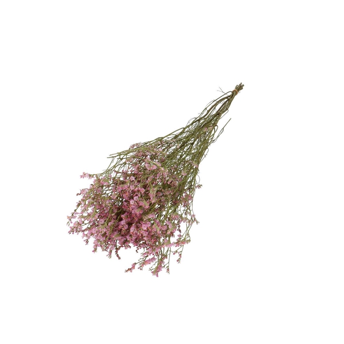 <h4>Droogbloem Limonium Diamond 70cm</h4>