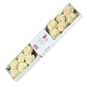 Sola Dahlia 8cm O/s 12 Pc Natural