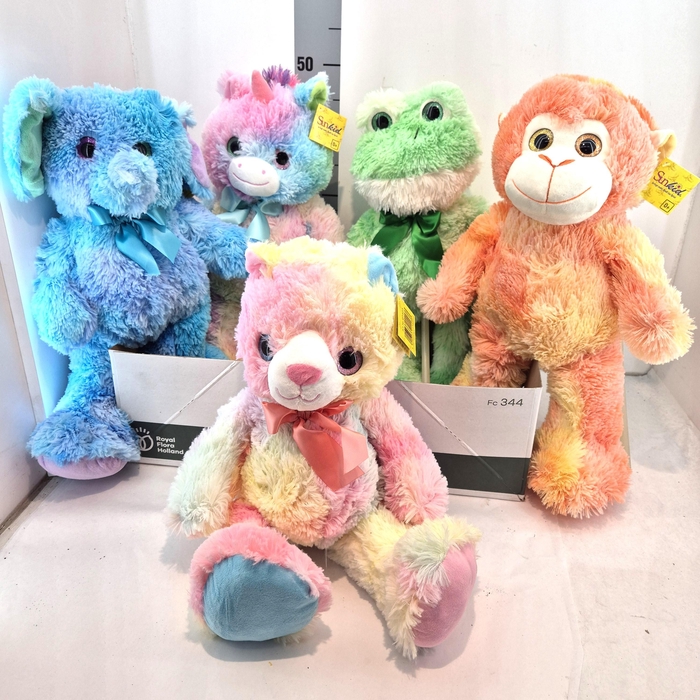 <h4>HUIS EN TUINDECO H%</h4>