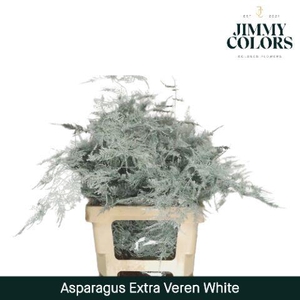 Aspa extra veren White