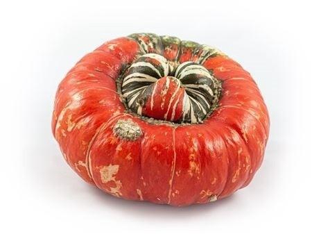 <h4>CUC TURKS TURBAN MIX</h4>