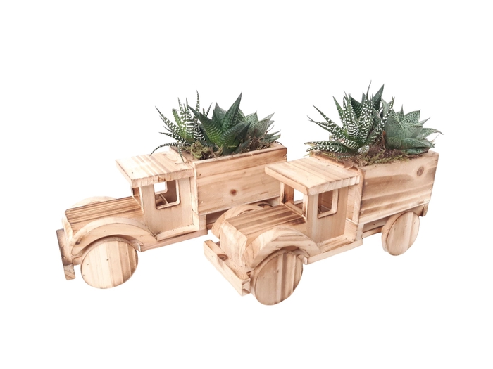 <h4>Arr.   Kamerplant Groen L%</h4>