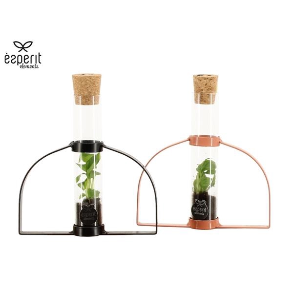 <h4>Arrangementen kamerplanten 6%</h4>