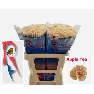 DI ST APPLE TEA