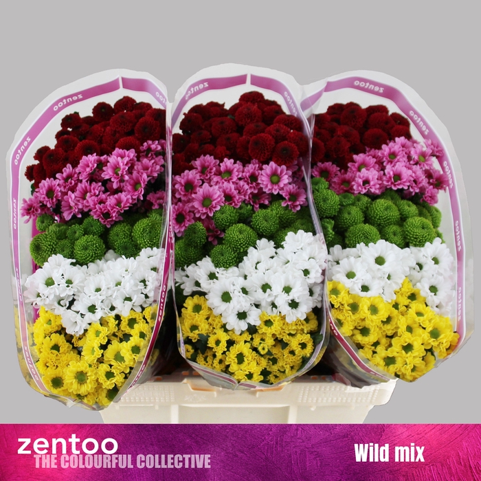 <h4>CHR S MIX WILD</h4>