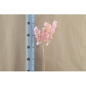 Japan Deco Hydr Noriutsugi Baby Pink 2 Pcs