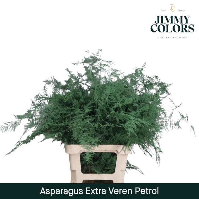 <h4>Aspa extra veren Petrol</h4>