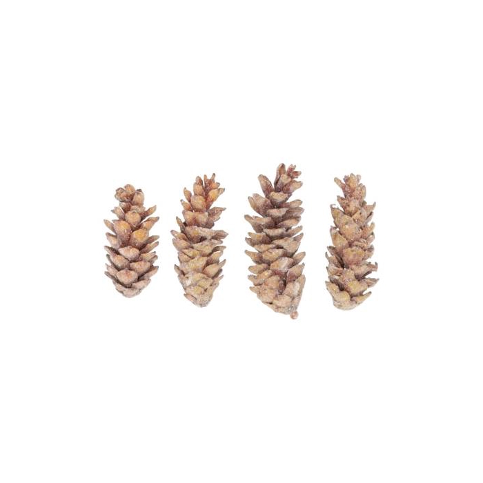 <h4>Pinecone Strobus Sugared 4 Pcs Slv L19W12H14</h4>