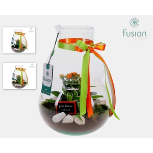 Green Bottle Olaf Medium met Grootmoederdag arrangement