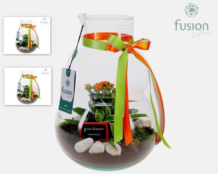 <h4>Green Bottle Olaf Medium met Grootmoederdag arrangement</h4>