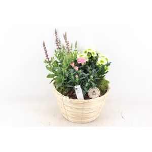 arr4 Outdoor PL - Mand paia naturel Los