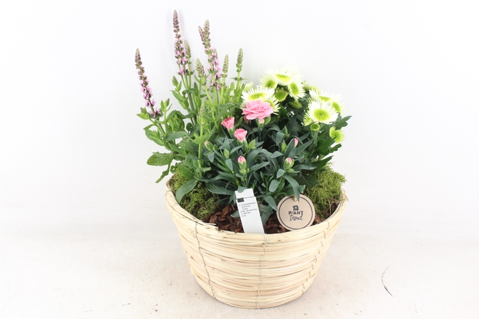 <h4>arr4 Outdoor PL - Mand paia naturel Los</h4>