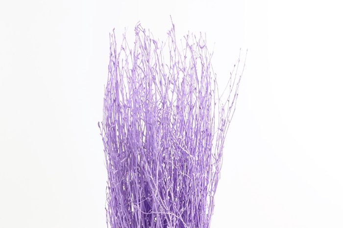 <h4>Berk Klb Lavender Light</h4>