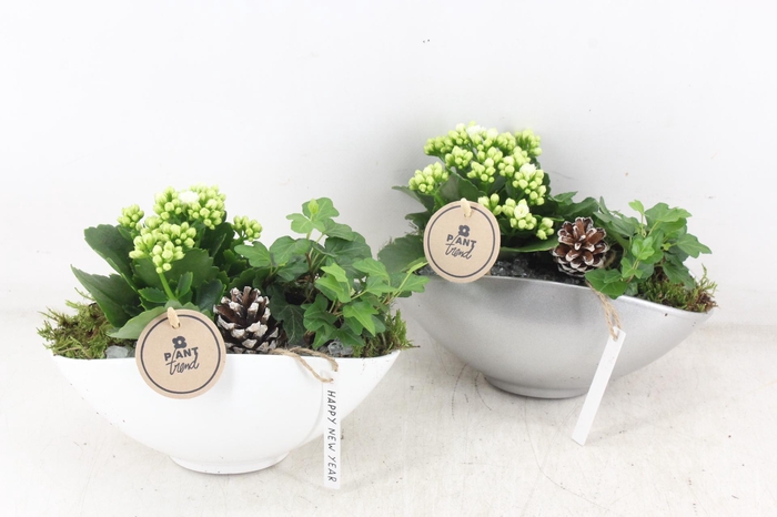 arr2 PL - Ker. ovaal 401/4 - wit