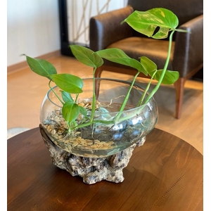 VASO BOLHA EXTRA GG BAIXA IMP