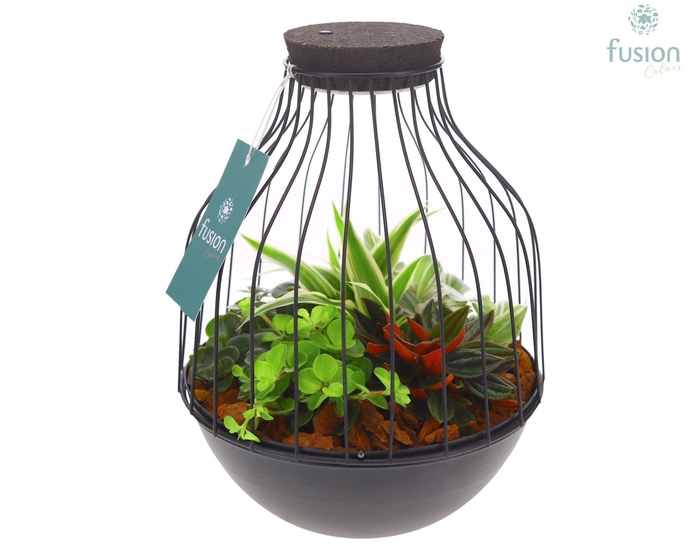 <h4>Vogelkooi metaal zwart Medium met groene planten</h4>