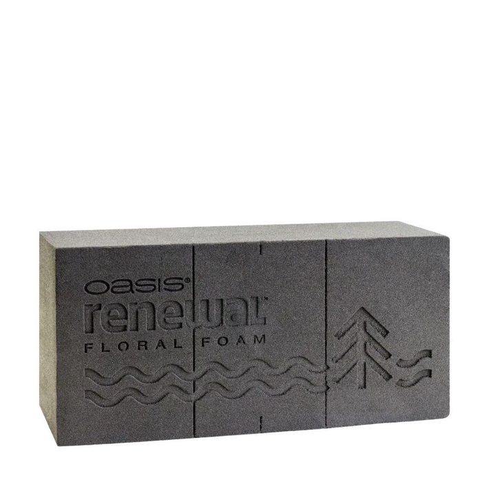 <h4>Oasis Blok Renewal x12 23*11*7.5cm</h4>