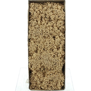 Dried Pepper Berries Old Gold