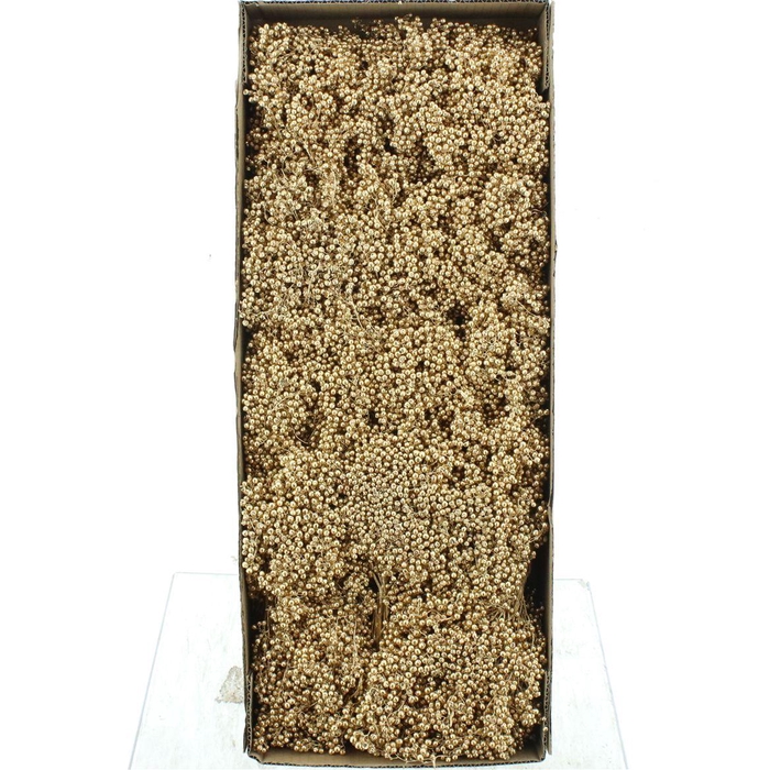 <h4>Dried Pepper Berries Old Gold</h4>