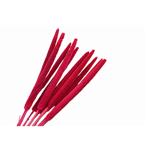 Babla Cerise