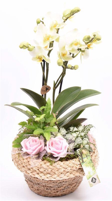 <h4>Jute mand met rand 18cm</h4>