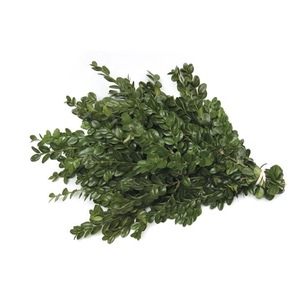 Buxus 180-200 g