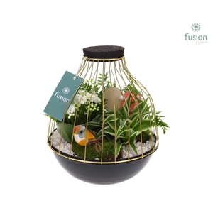 Vogelkooi metaal goudzwart Large Love met arrangement