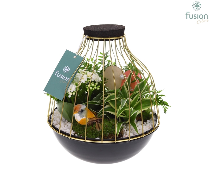 <h4>Vogelkooi metaal goudzwart Large Love met arrangement</h4>