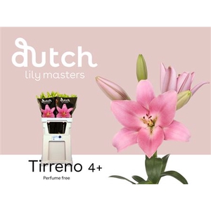 Li La Tirreno