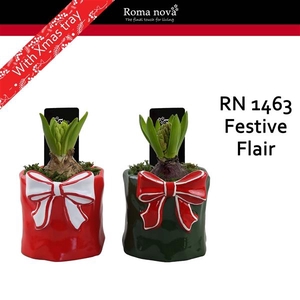 Arrangementen Hyacinthus 6%