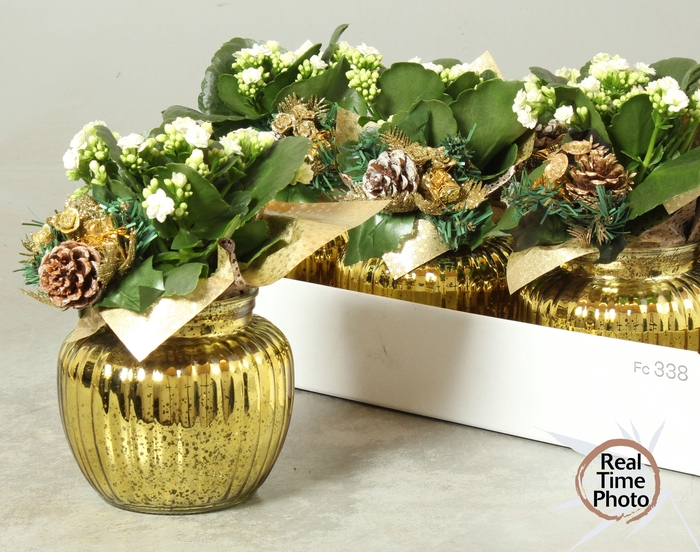 <h4>ARR KAMERPL</h4>