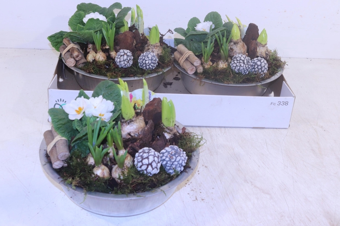 <h4>ARR TUINPLANTEN</h4>