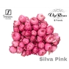 R TR SILVA PINK+ Vip