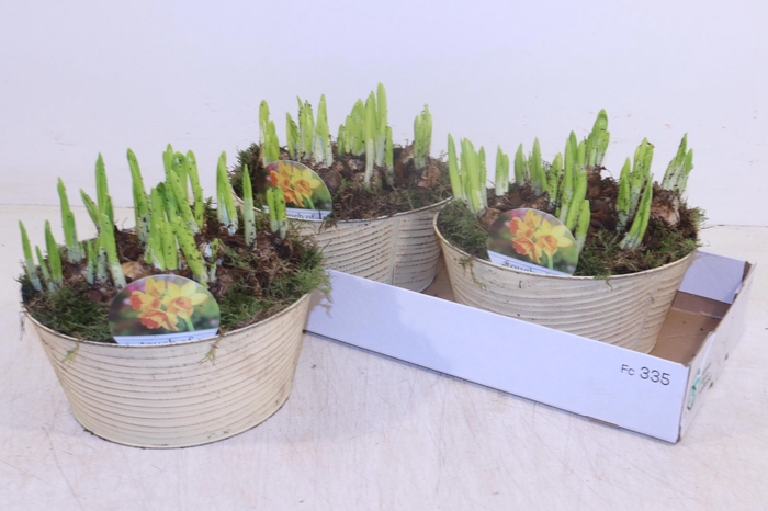 <h4>ARR N TETE A TETE</h4>