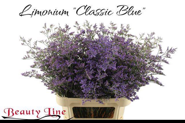 <h4>LIM SAF CLASSIC BLUE</h4>