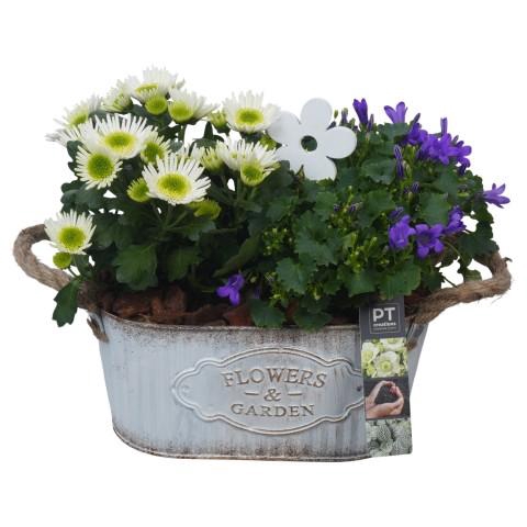 <h4>PTSO6004 Arrangementen Tuinplanten</h4>
