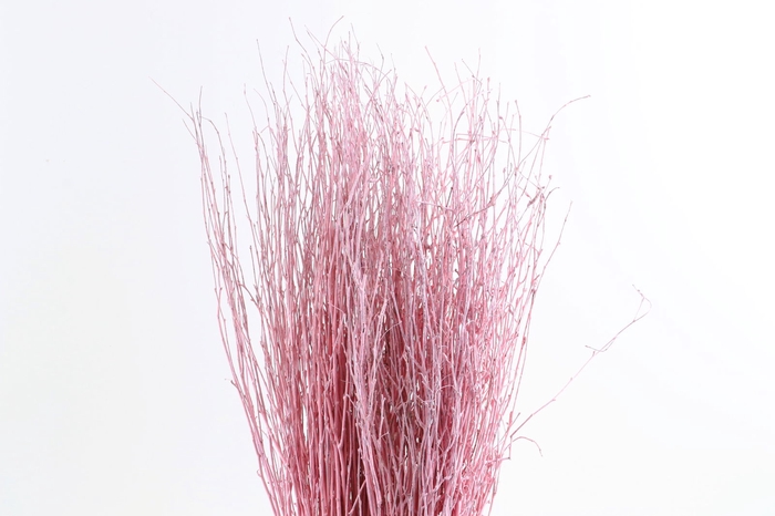 <h4>Berk Klb Pink Light</h4>