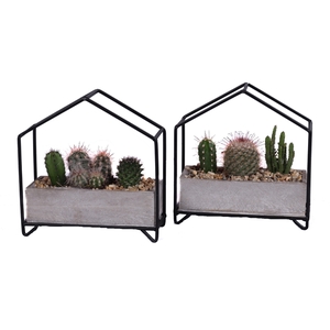 3x cactus mix in metalen huisplanter