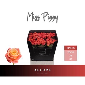 R GR MISS PIGGY+
