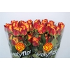 R GR CHILI Welyflor