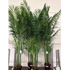 ** Artificial Howea F Ceramic Hydr * Spring Deal *