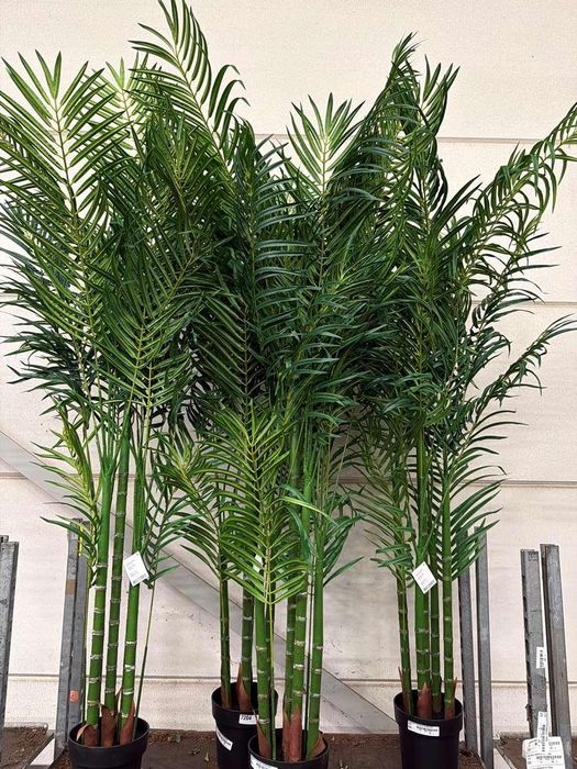 ** Artificial Howea F Ceramic Hydr * Spring Deal *