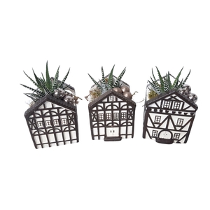 Planten  ..in schaal L%