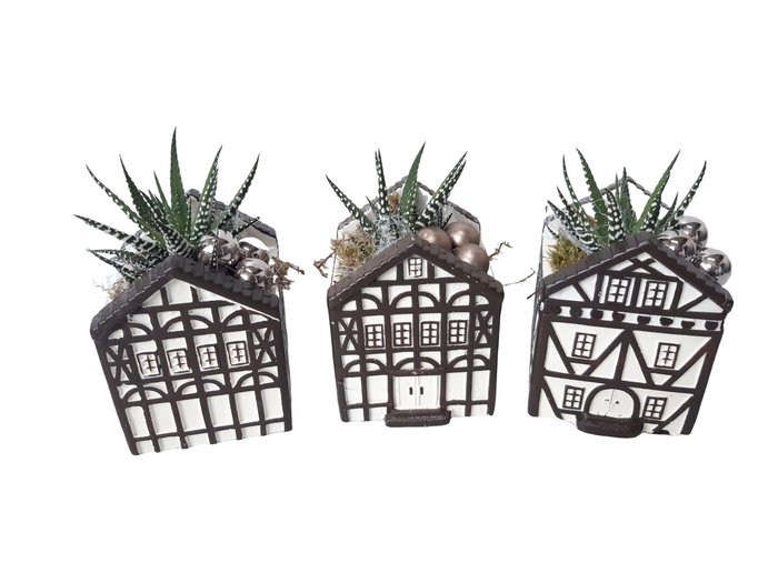 <h4>Planten  ..in schaal L%</h4>